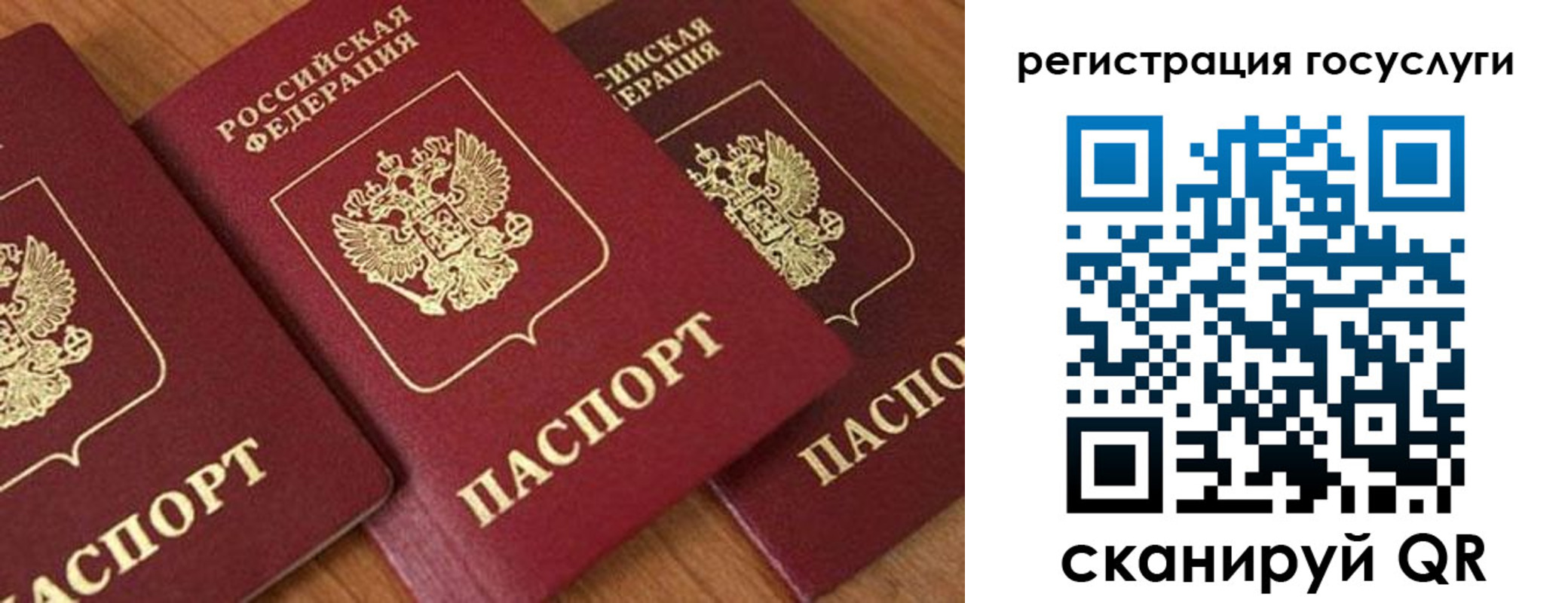 временная регистрация гарантия в Лосино-Петровском
